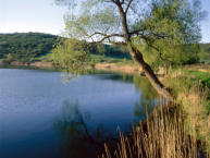 Schalkenmehrener Maar